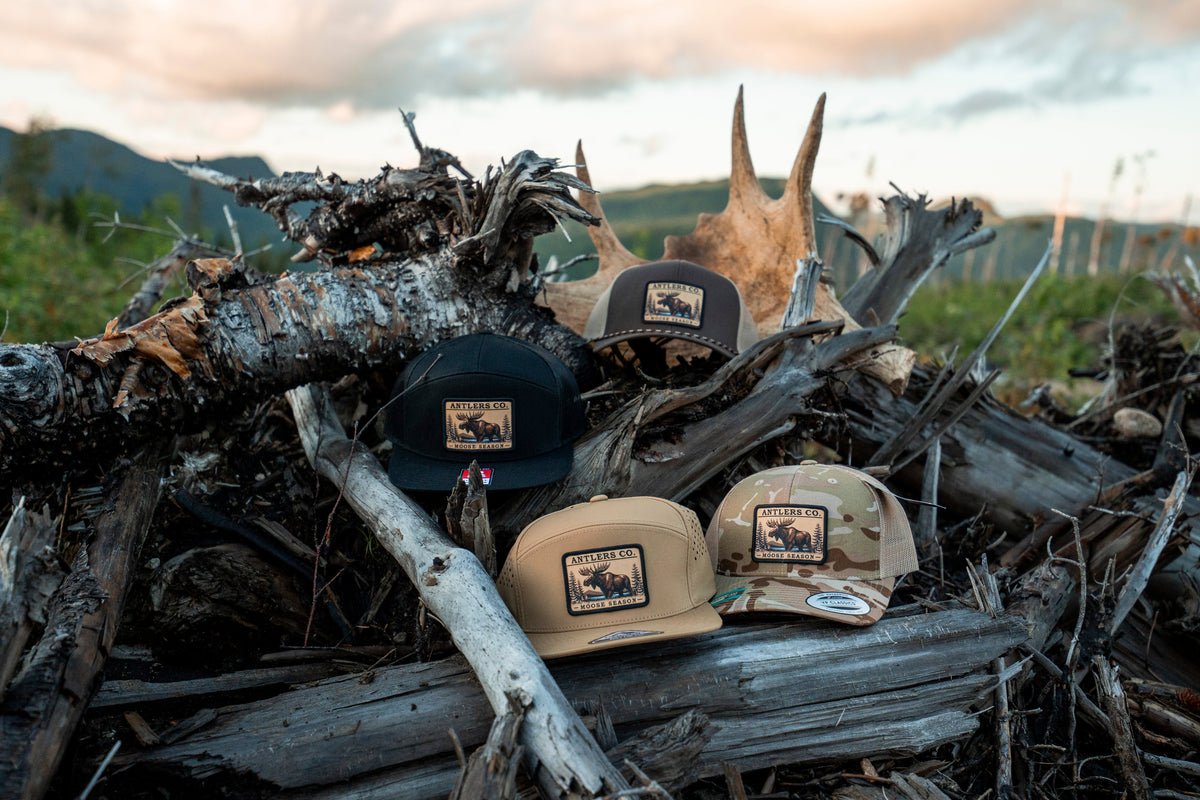 Collection Moose Season