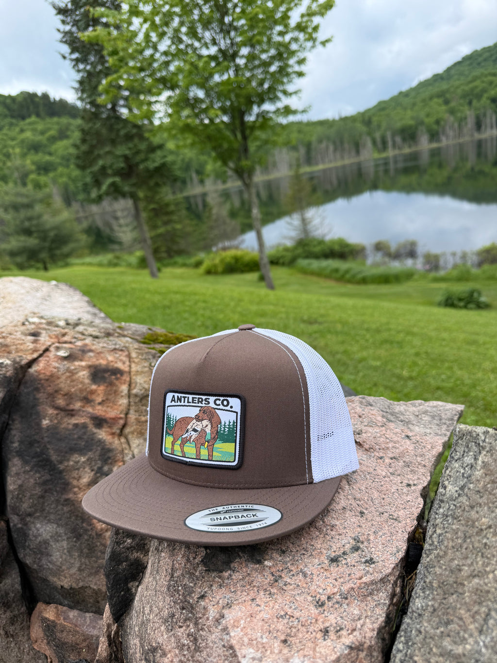 Retriever – Brown/White