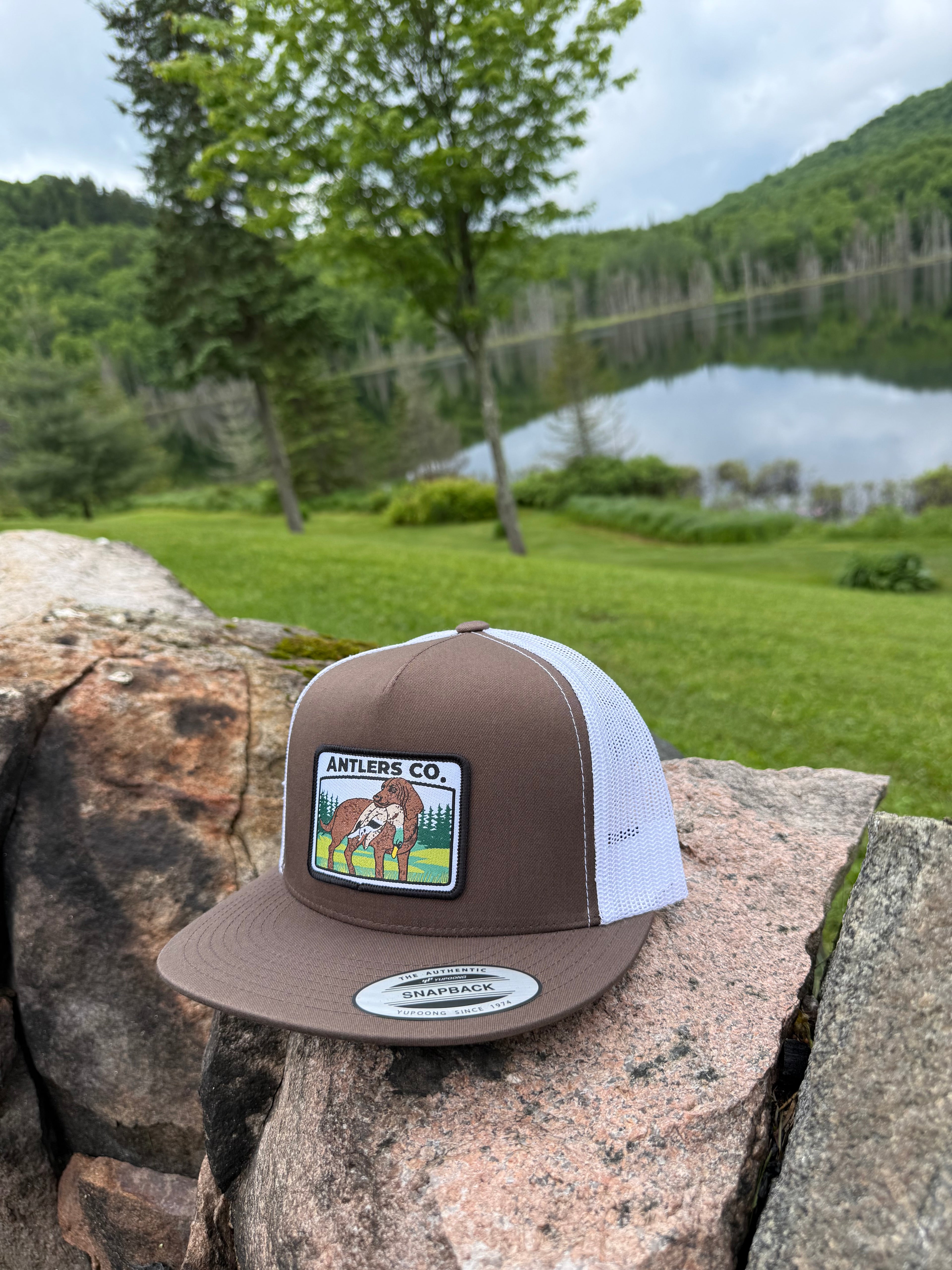 Retriever – Brown/White