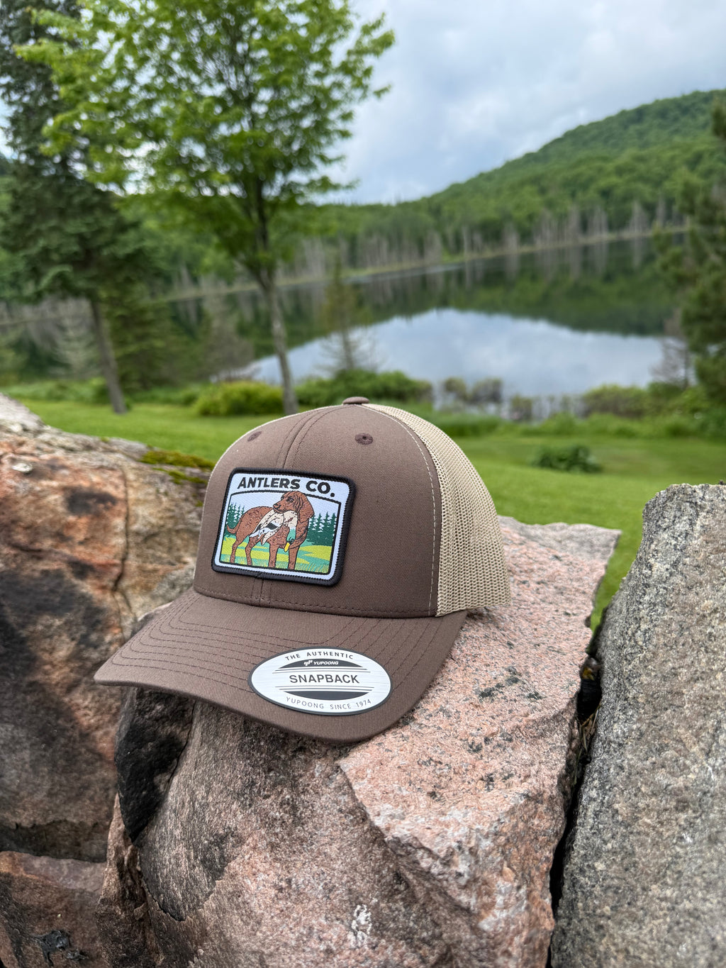 Retriever – Brown and Khaki