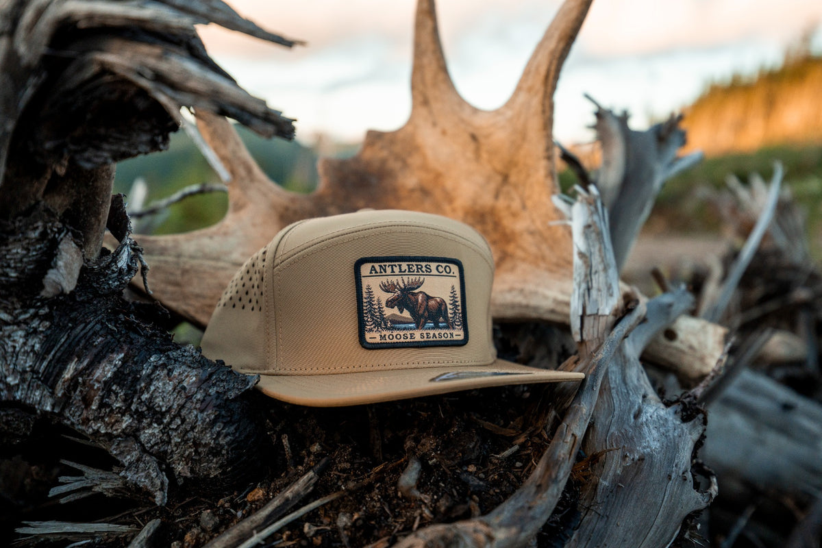 Moose Season – Coyote Brown