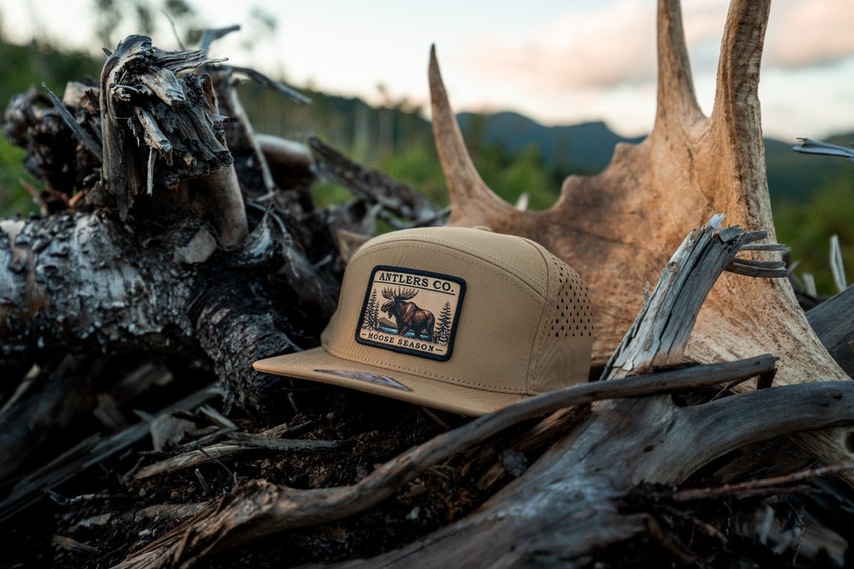 Moose Season – Coyote Brown