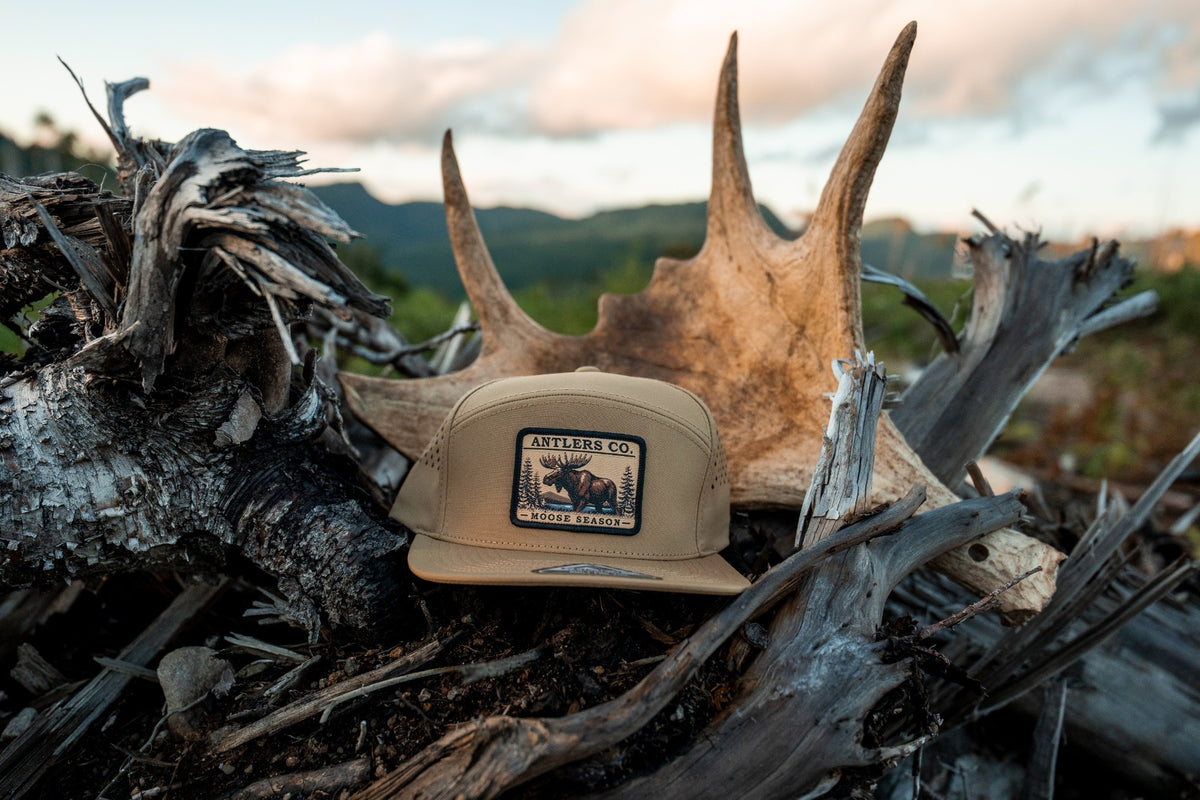 Moose Season – Coyote Brown