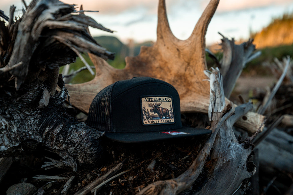Moose Season – Black