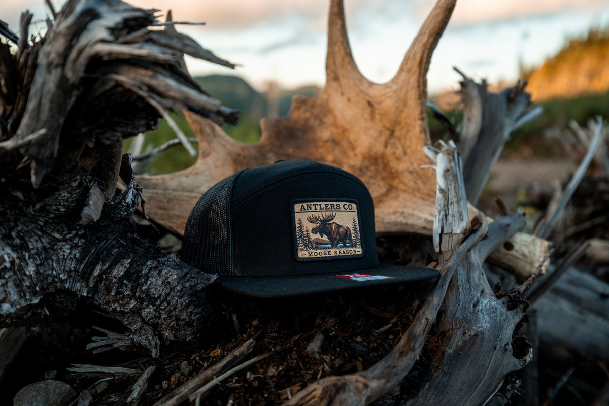 Moose Season – Black