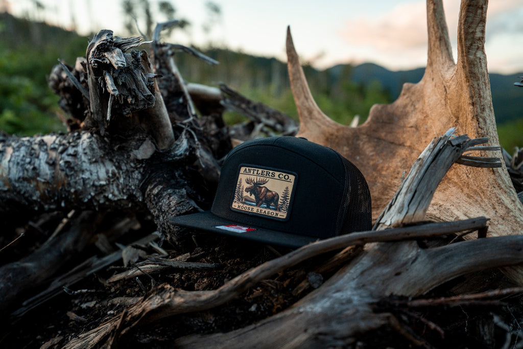 Moose Season – Black
