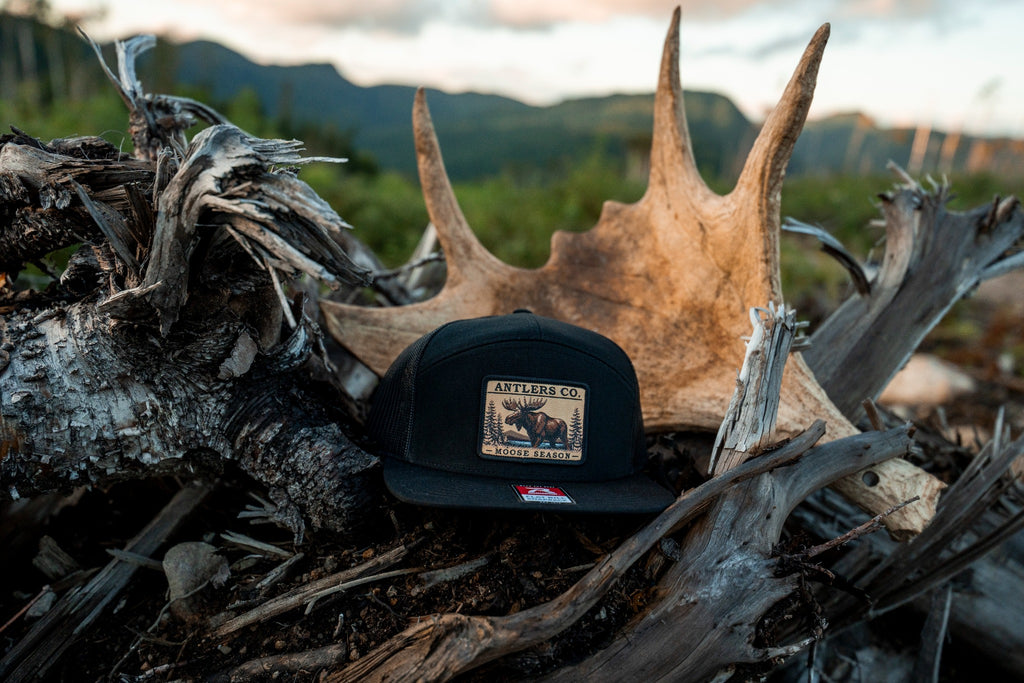 Moose Season – Black
