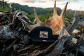 Moose Season – Black